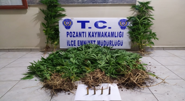 Adana’da bağ evinde Hint keneviri yetiştiren şüpheli yakalandı