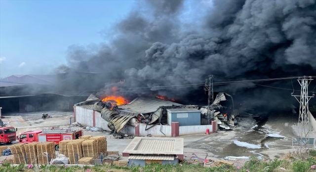 Hatay’da antrepoda çıkan yangına havadan ve karadan müdahale ediliyor