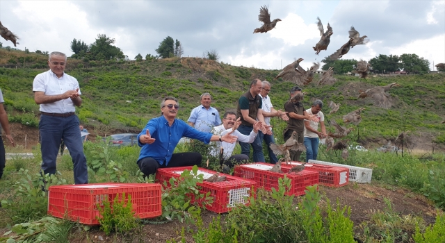 Osmaniye’de yangından zarar gören ormanlara 1000 keklik salındı
