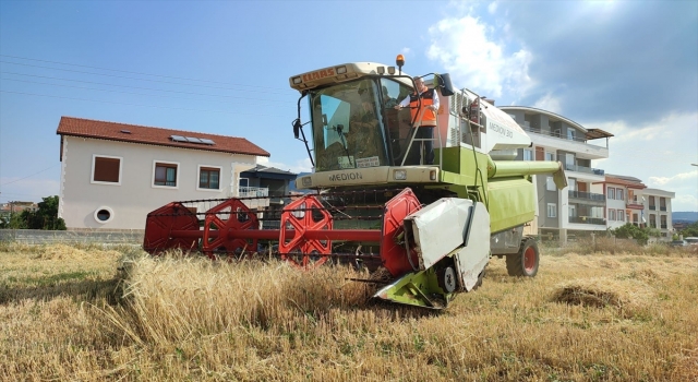 Bucak Belediyesinden arpa hasadı