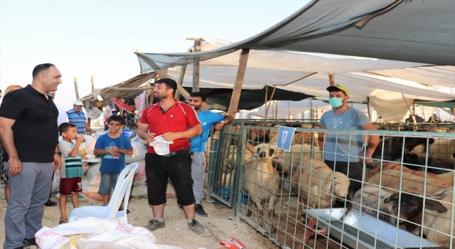 Mersin’de hayvan pazarı Kurban Bayramı için hazır hale getirildi