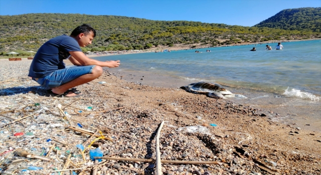 Mersin’de ölü caretta caretta sahile vurdu