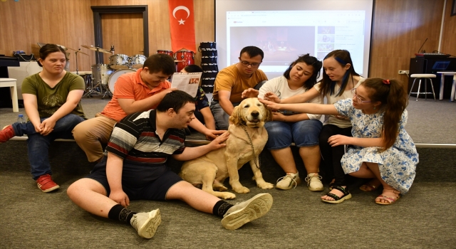 Eğitimli köpek ”Max” Down sendromlu çocukların yol arkadaşı oldu