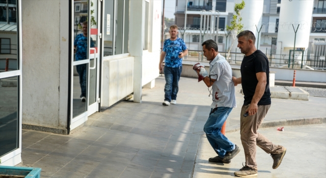 Antalya, Muğla ve Burdur’da ”acemi kasaplar” hastanelik oldu