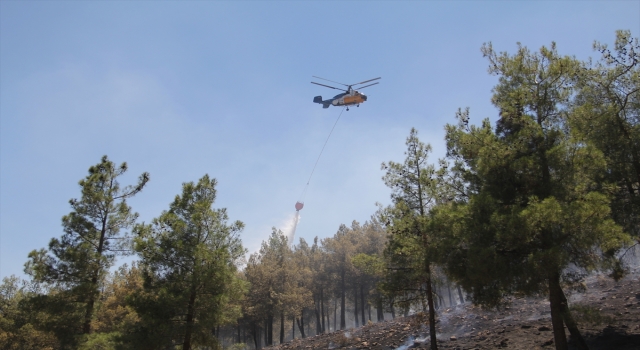 Hatay’da çıkan örtü yangını kontrol altına alındı