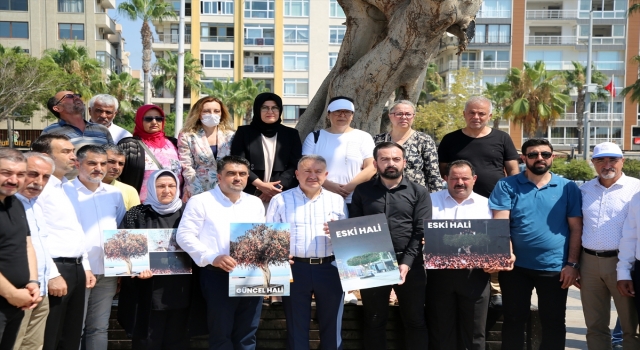 AK Parti Mersin İl Başkanı Ercik, kentin simge ağacına zarar verilmesini kınadı