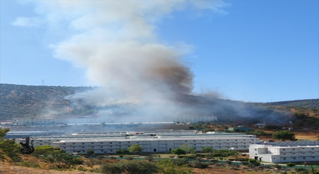Mersin’de çıkan orman yangınına müdahale ediliyor
