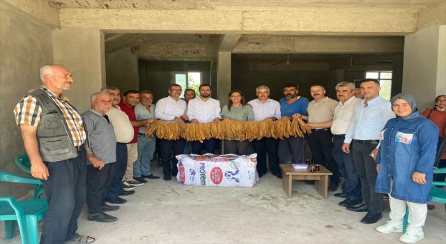 AK Parti’li Çelik, Yayladağı’nda mahalleleri gezdi