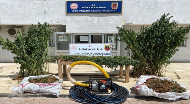 Antalya’da uyuşturucu operasyonunda 1 kişi gözaltına alındı