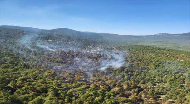 Antalya’da ormanlık alanda çıkan yangın kontrol altına alındı