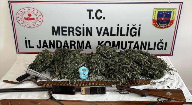 Mersin’de ormanlık alanda Hint keneviri yetiştiren 2 zanlı tutuklandı