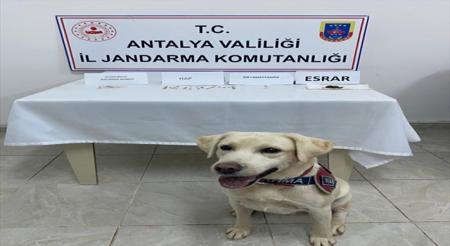 Alanya’da uyuşturucu bulunan araçtaki 4 kişi gözaltına alındı