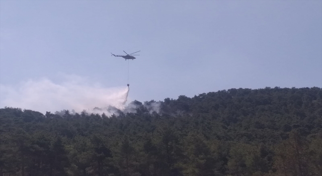 Antalya’da ormanlık alanda yangın çıktı