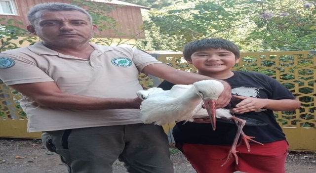 Osmaniye’de yaralı leylek tedavisinin ardından doğaya bırakıldı