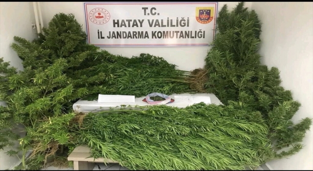 Hatay’da uyuşturucu operasyonunda 2 şüpheli yakalandı