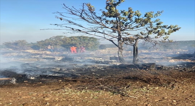 Mersin’de çadır yangını hasara neden oldu