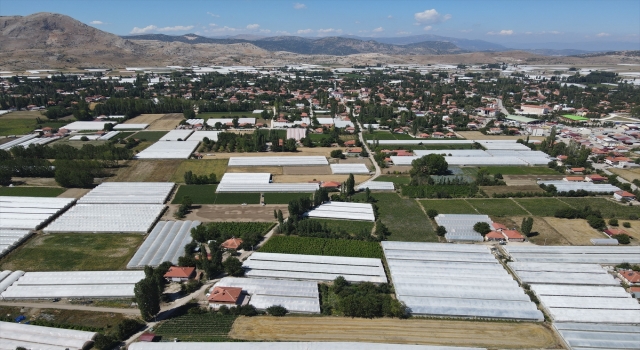 Lezzeti ve raf ömrüyle öne çıkan Burdur’un yayla domatesi, yurt dışında talep görüyor