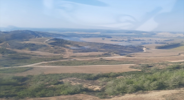 Adana’da çıkan orman yangınına müdahale ediliyor