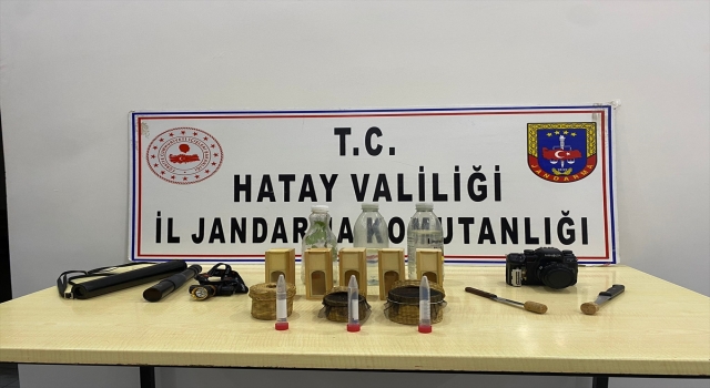 Hatay’da böcek türlerini yasa dışı toplayan yabancı uyrukluya para cezası