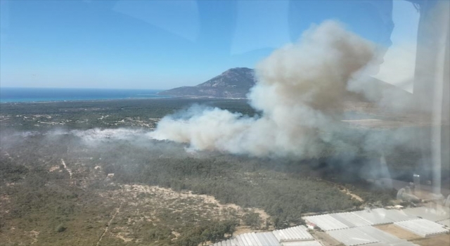 Kaş’ta ağaçlandırma sahasındaki yangın yeniden başladı