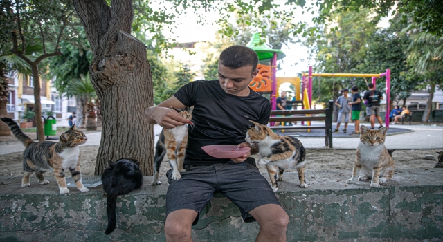 Genç hayvansever yaşadığı mahalledeki kedilere ”Umut” oldu