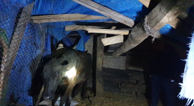 Osmaniye’de 5,1 büyüklüğünde deprem