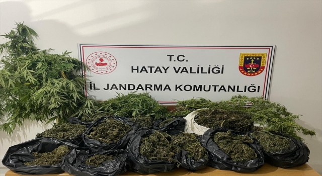 Hatay’da evlerinde uyuşturucu bulunan 2 zanlı yakalandı