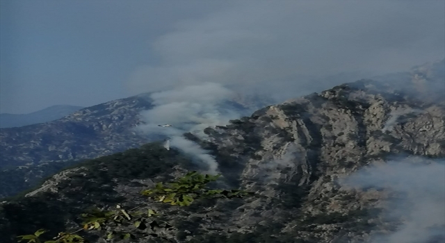 Osmaniye’deki orman yangınına müdahale sürüyor