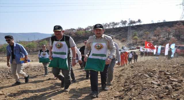 Mersin’de yanan ormanlık alanlara 450 milyon kızılçam tohumu ekildi