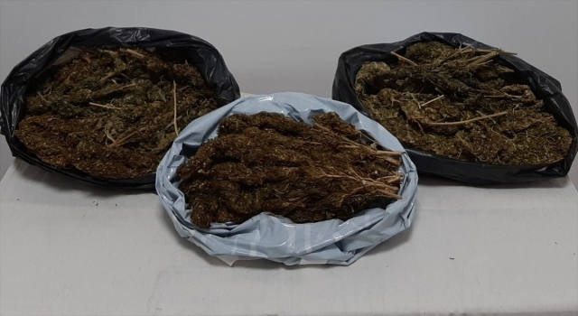 Mersin’de 10 kilo 248 gram skunk ele geçirildi