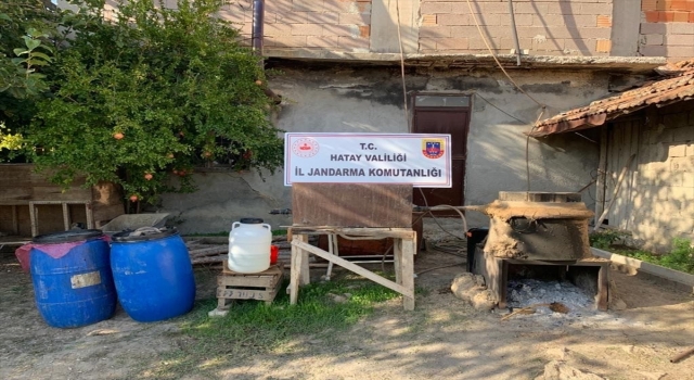 Hatay’da 200 litre sahte içki ile 109 kök kenevir ele geçirildi