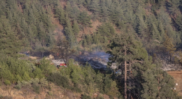 Mersin’de çıkan orman yangını söndürüldü