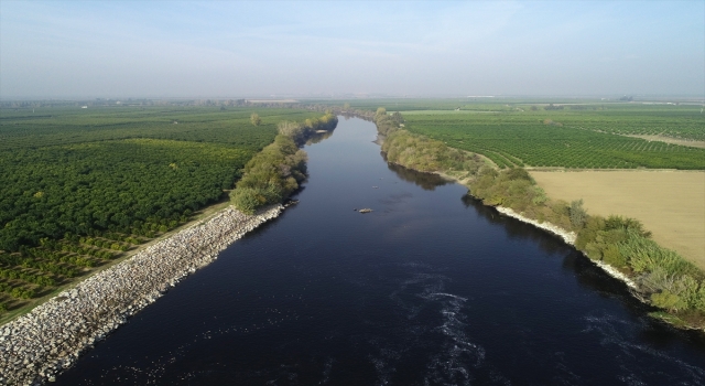 Ceyhan Nehri’nde görülen balık ölümlerinin nedeni araştırılıyor