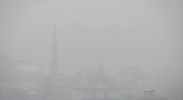 Gaziantep’in Araban ilçesinde sis etkili oldu