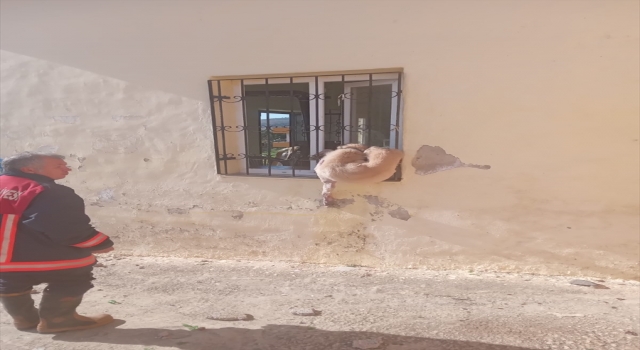 Mersin’de demir parmaklıklara sıkışan köpeği itfaiye kurtardı