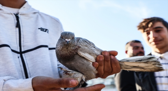 Mersin’de güvercin meraklıları yılın ilk gününü kuş pazarında geçirdi