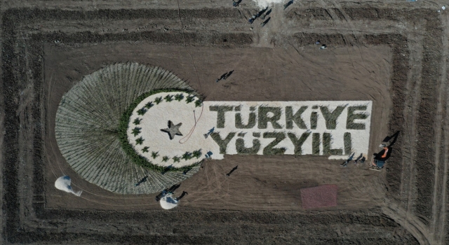 Gaziantep’te 100 bin fidanla ”Türkiye Yüzyılı” logosu oluşturuldu