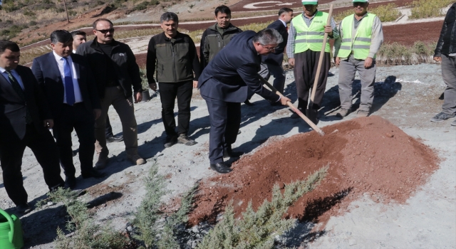 Osmaniye’de 28 bin fidanla ”Türkiye Yüzyılı” yazıldı