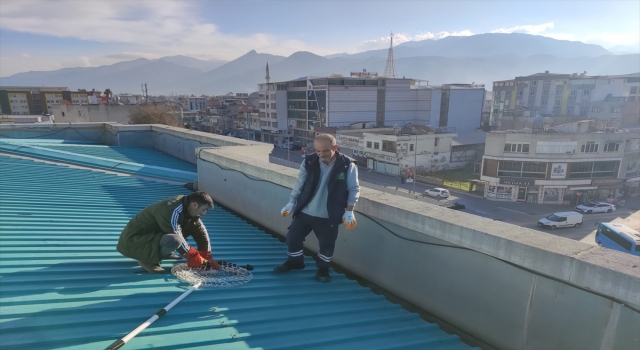 Osmaniye’de belediyenin çatısında mahsur kalan kedi yavrusu kurtarıldı