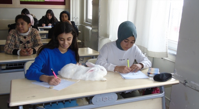 Gaziantep’te okuma saatinde öğrencilere tavşan ”Pamuk” da katılıyor