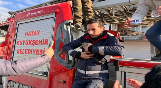 Hatay’da depremde hasar gören binada mahsur kalan kedi yavrusu kurtarıldı