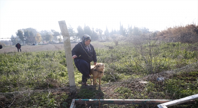 Hataylı Genco ailesini deprem gecesi köpekleri ”Çilek” güvenli bölgeye çıkardı