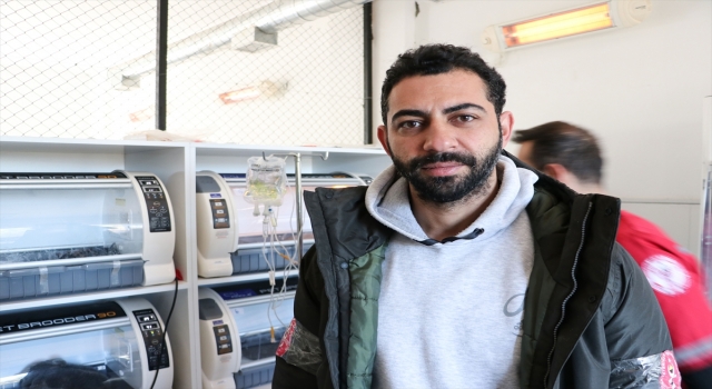 Depremde göçük altında kalan hayvanları gönüllü veterinerler tedavi ediyor