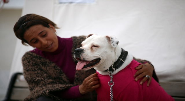 Ağır hasarlı binaya girerek kurtardığı köpeği ”Rita” ile çadır kentte kalıyor