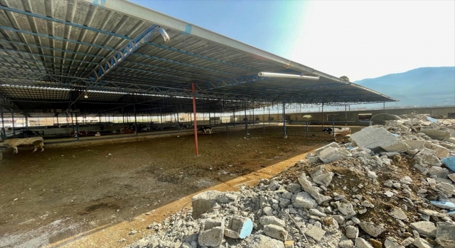 Depremlerden etkilenen besicilerin yaraları devlet eliyle sarılıyor