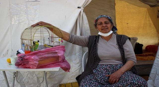 Hatay’da çadır kentler evcil hayvanlara da ”yuva” oldu
