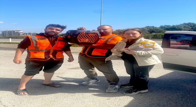 Hasarlı binadan çıkmayan kedi  bodrum katta biriken suların içinden kurtarıldı