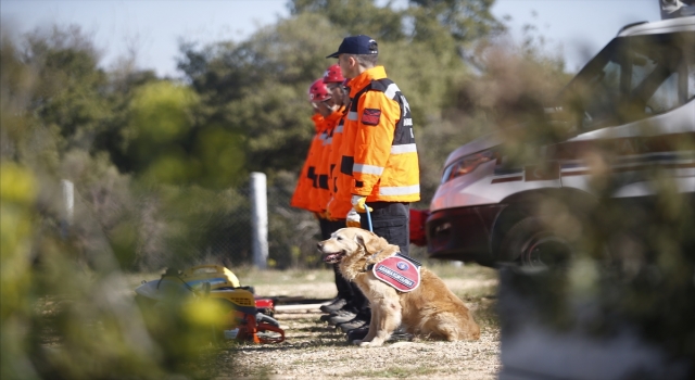 Arama kurtarma köpeği ”Ocak” 6 depremzedenin kahramanı oldu