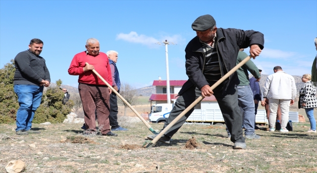 Antalya’da Antep fıstığı yetiştiriciliği için örnek bahçeler kuruldu
