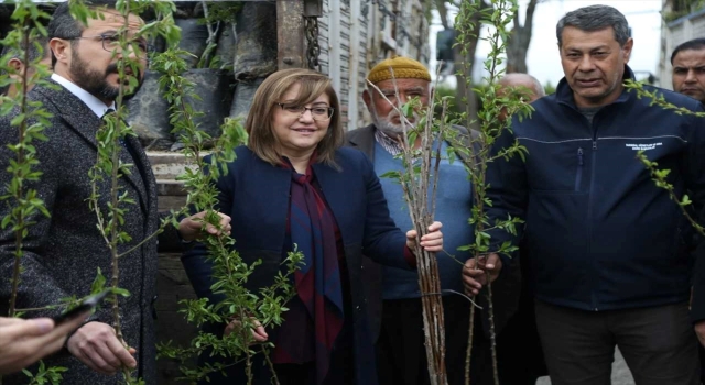 Gaziantep’teki çiftçilere 50 bin fidan desteği